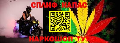 a pvp Камышлов