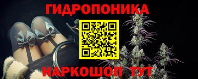 a pvp Камышлов