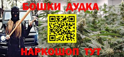 a pvp Камышлов