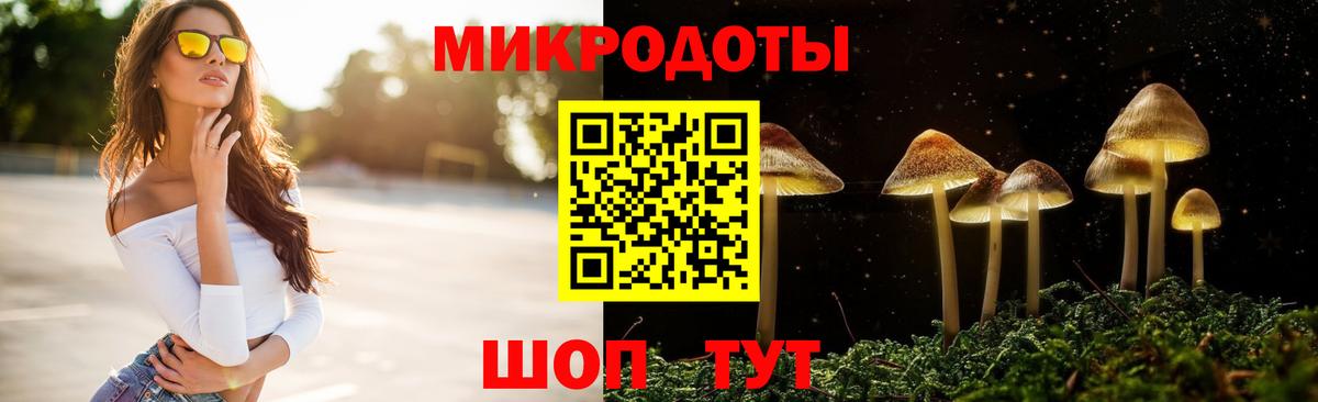 Псилоцибиновые грибы Psilocybe  Вход с VPN  наркота  Псилоцибиновые грибы ЛСД  Стерлитамак 